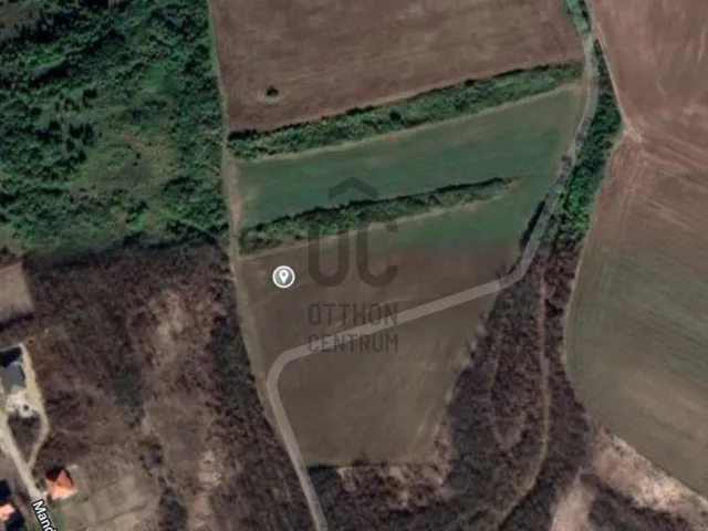Eladó mezőgazdasági ingatlan Galgagyörk 5665 nm