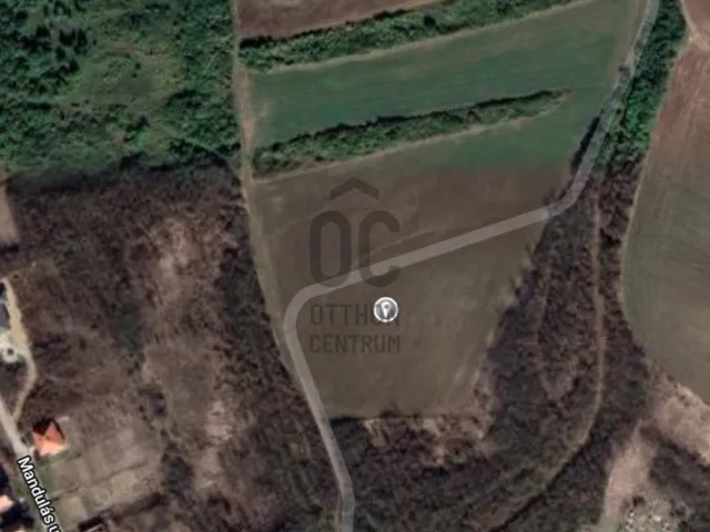 Eladó mezőgazdasági ingatlan Galgagyörk 2510 nm