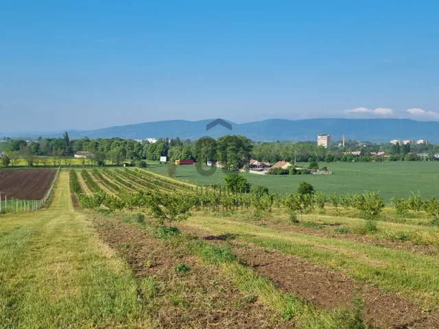 Eladó telek Vác, Csatamező 20000 nm