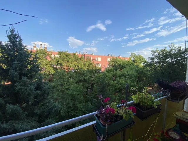 Eladó lakás Budapest XIV. kerület, Alsórákos 53 nm