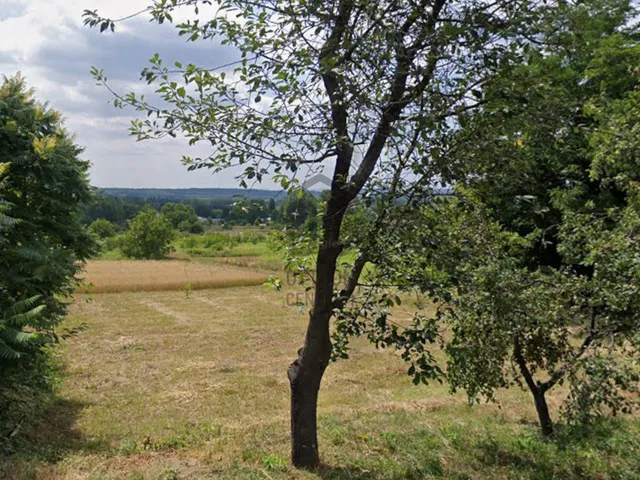 Eladó mezőgazdasági ingatlan Szada 514 nm