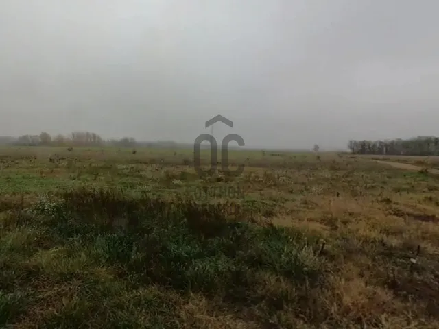 Eladó mezőgazdasági ingatlan Szada 15314 nm