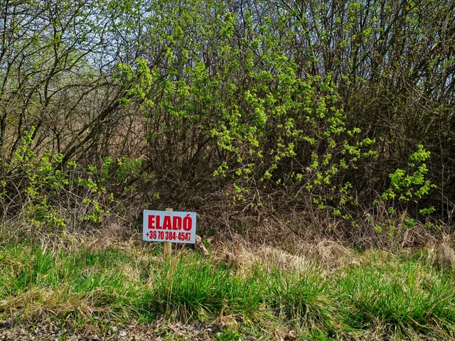 Eladó telek Levelek 800 nm