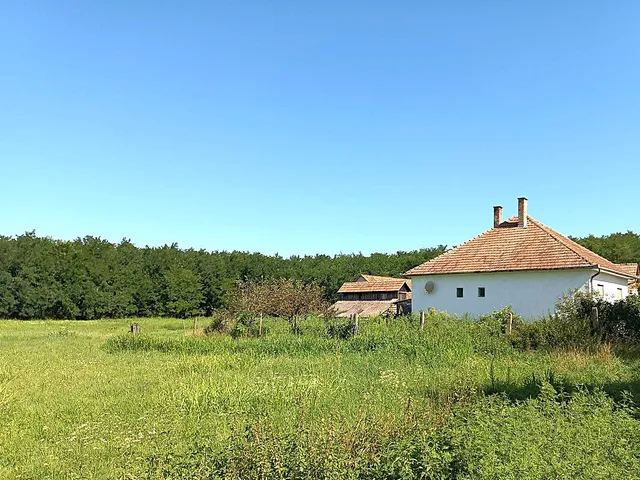 Eladó mezőgazdasági ingatlan Nyírábrány 95 nm