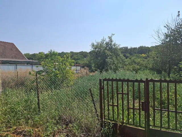 Eladó mezőgazdasági ingatlan Hajdúszoboszló, vénkert 4689 nm