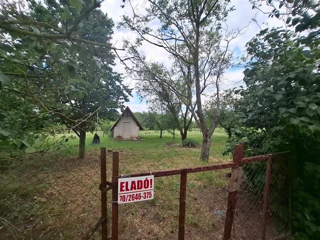 Eladó mezőgazdasági ingatlan Hajdúszoboszló, góré dűlő 10 nm