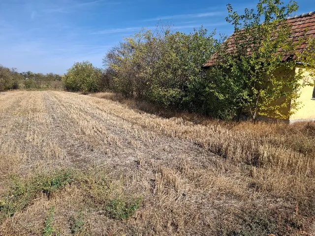 Eladó telek Hajdúszoboszló, Vénkert 1503 nm