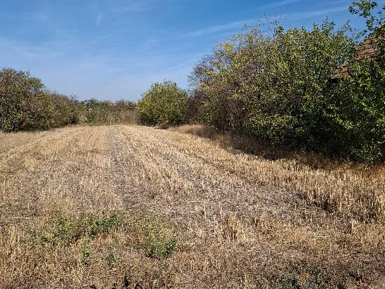 Eladó telek Hajdúszoboszló, Vénkert 1503 nm