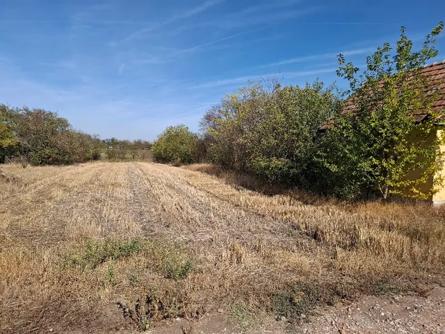 Eladó telek Hajdúszoboszló, Vénkert 1503 nm