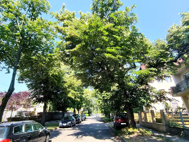 Eladó lakás Budapest XIV. kerület, Alsórákos 81 nm
