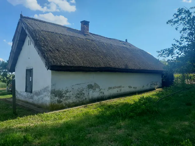 Eladó mezőgazdasági ingatlan Buzsák 50 nm
