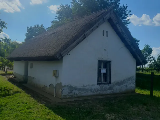 Eladó mezőgazdasági ingatlan Buzsák 50 nm