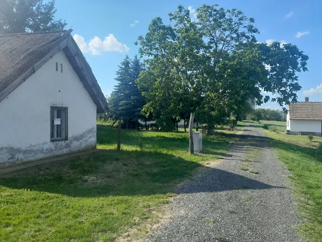 Eladó mezőgazdasági ingatlan Buzsák 50 nm