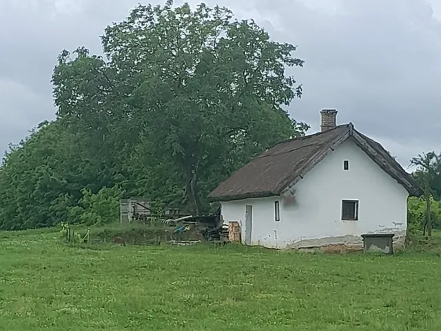 Eladó mezőgazdasági ingatlan Buzsák 60 nm