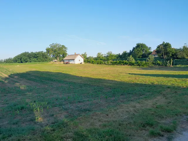 Eladó mezőgazdasági ingatlan Buzsák 60 nm