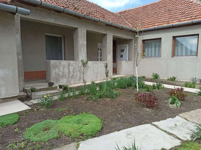 Eladó ház Zsadány 250 nm