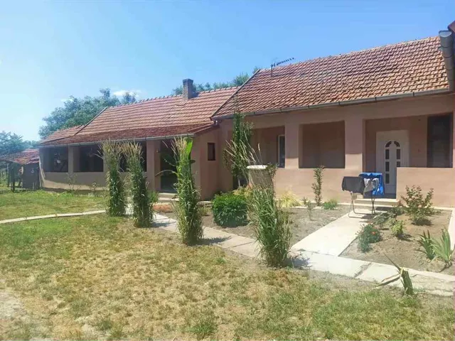 Eladó ház Zsadány 250 nm