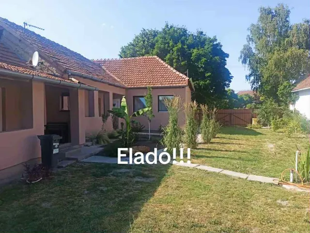 Eladó ház Zsadány 250 nm