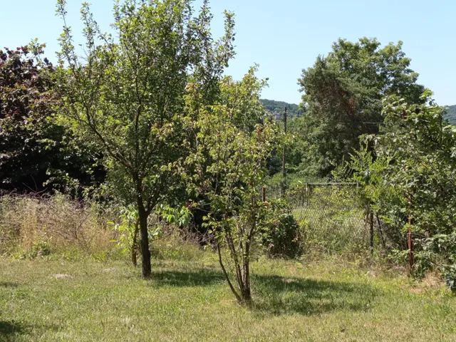 Eladó telek Kisoroszi 719 nm