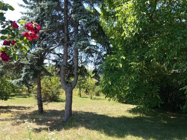 Eladó telek Kisoroszi 719 nm