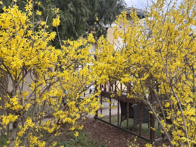 Eladó ház Budapest III. kerület, Csillaghegy, 0 110 nm