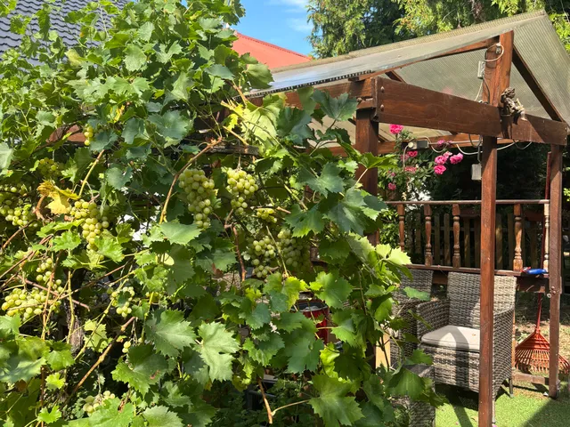 Eladó ház Budapest III. kerület, Csillaghegy, 0 75 nm