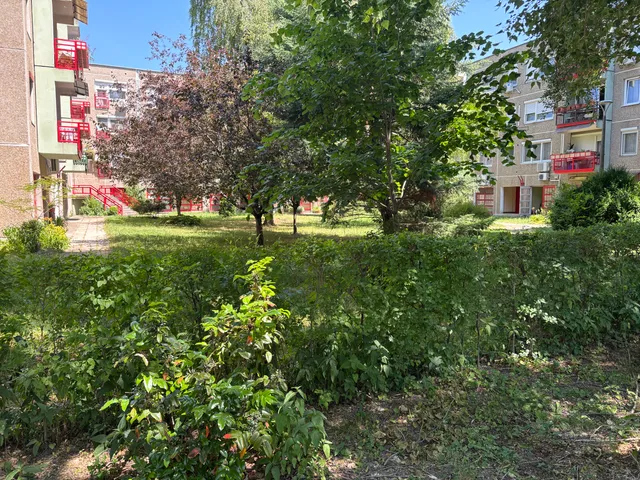 Eladó lakás Budapest III. kerület, Pók utcai lakótelep 73 nm