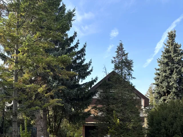 Eladó ház Budapest III. kerület, Rómaifürdő 250 nm