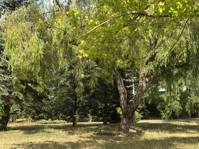 Eladó lakás Budapest III. kerület, Pók utcai lakótelep 73 nm