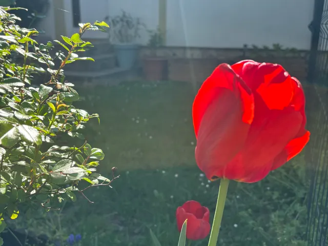 Eladó lakás Budapest III. kerület, Csillaghegy, 0 65 nm