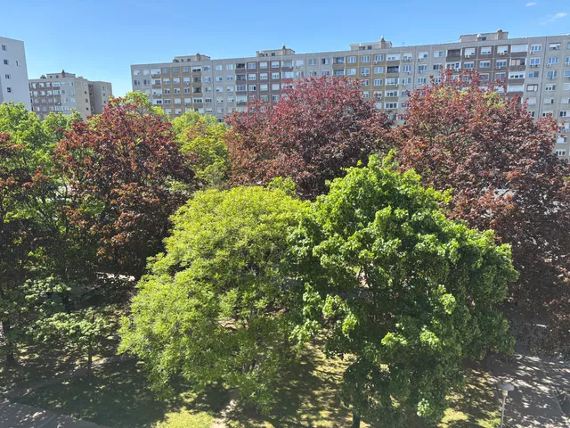 Eladó lakás Budapest III. kerület, Békásmegyer, 0 66 nm