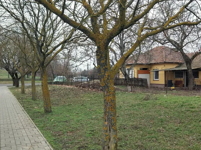 Eladó ház Kőröstetétlen 82 nm