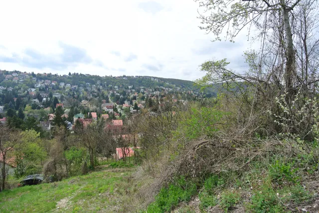 Eladó telek Budapest II. kerület, Remetekertváros 1125 nm