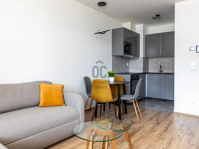Kiadó lakás Budapest IX. kerület, Középső Ferencváros 38 nm