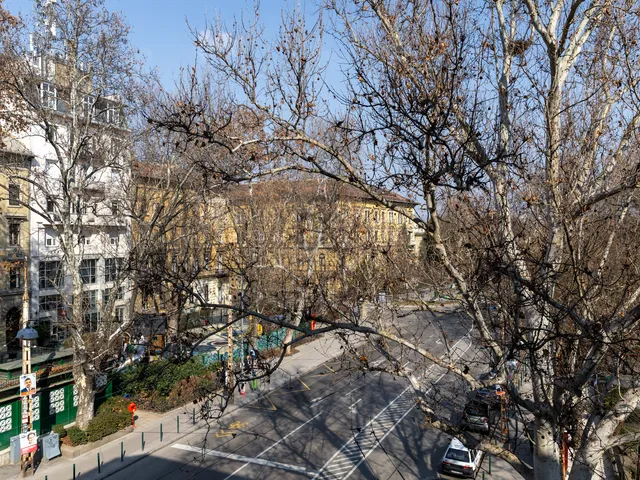 Eladó lakás Budapest VII. kerület, Lövölde tér 107 nm