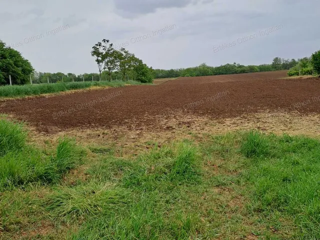 Eladó telek Nyíregyháza, Oros 10144 nm