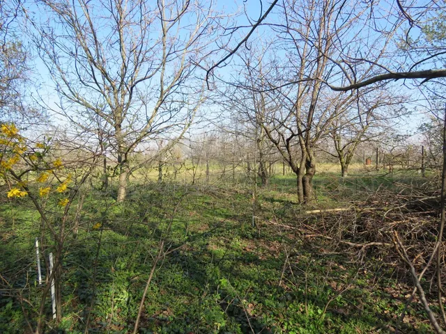 Eladó ház Győr, Ménfőcsanak 140 nm