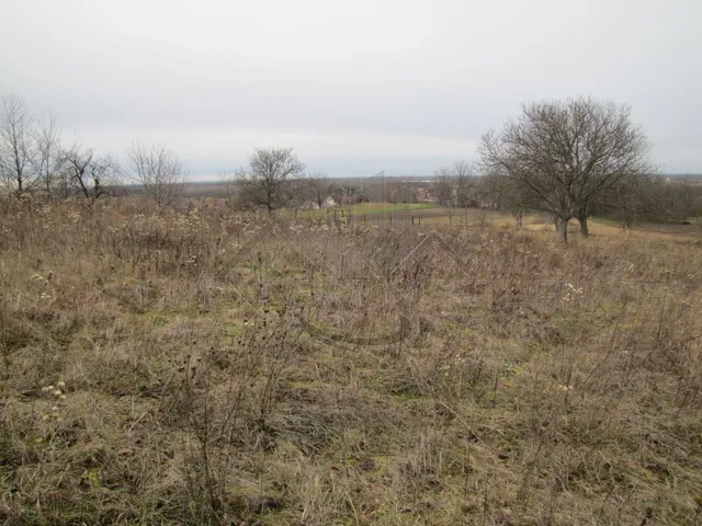 Eladó telek Győr, Ménfőcsanak 4000 nm