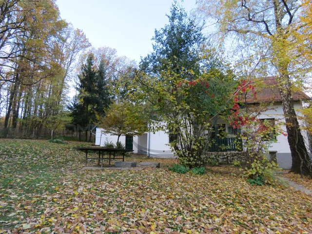 Eladó kereskedelmi és ipari ingatlan Bakonyszentlászló 350 nm