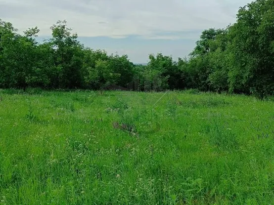 Eladó telek Écs 3912 nm