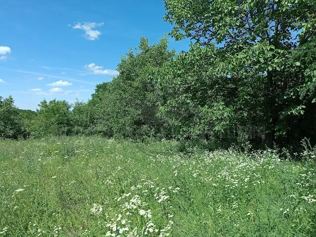 Eladó telek Écs 3912 nm