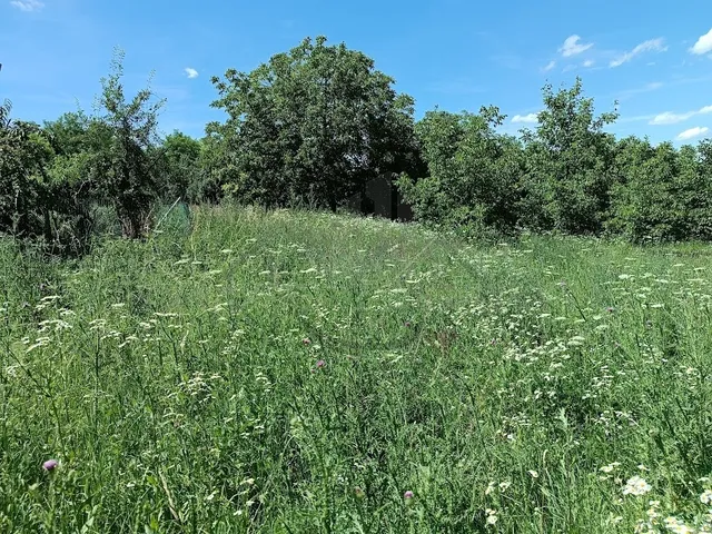 Eladó telek Écs 3912 nm