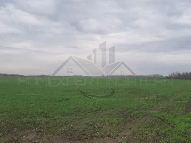 Eladó mezőgazdasági ingatlan Écs 18 nm