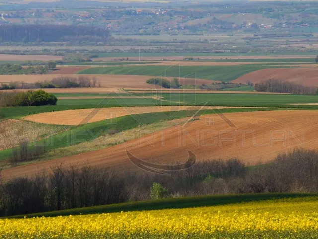 Eladó mezőgazdasági ingatlan Écs 18 nm