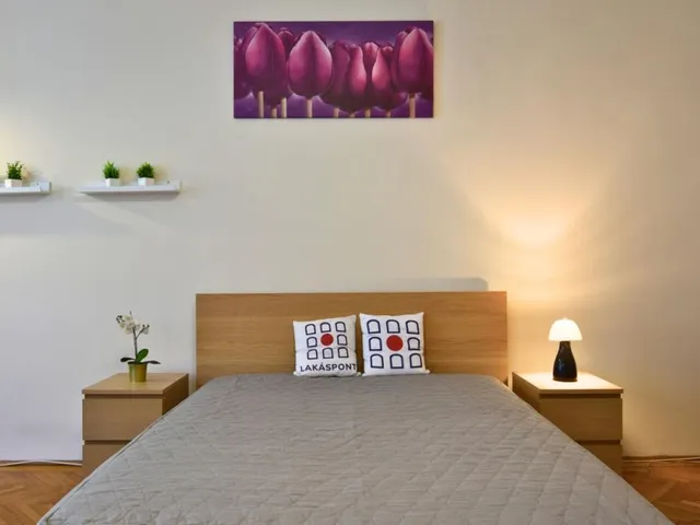 Kiadó lakás Budapest V. kerület 41 nm