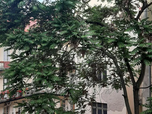 Eladó lakás Budapest XIII. kerület, Újlipótváros 100 nm