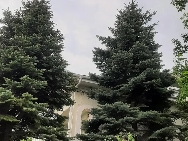 Kiadó lakás Budapest III. kerület, Farkastorki lejtő 50 nm