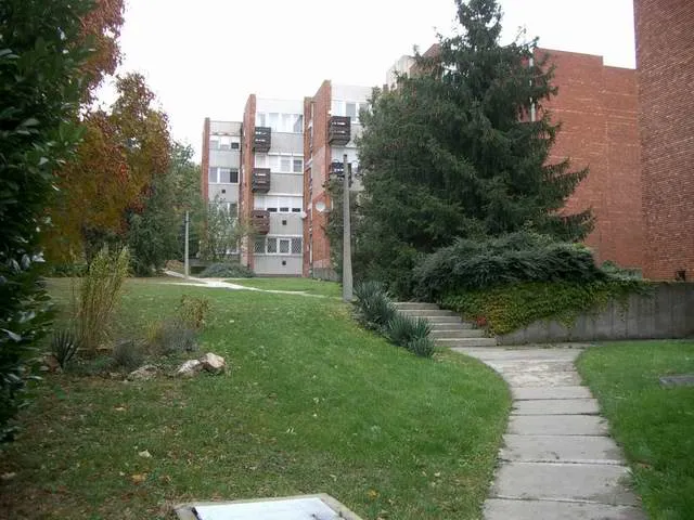 Kiadó lakás Budapest I. kerület, Kocsány utca 41 nm