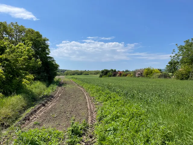 Eladó telek Pázmánd 7414 nm