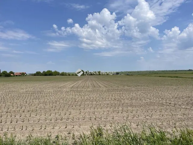 Eladó telek Pázmánd 1421 nm
